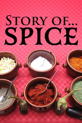 Poster de Story of..Spice