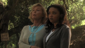 A Light in the Forest (2003)