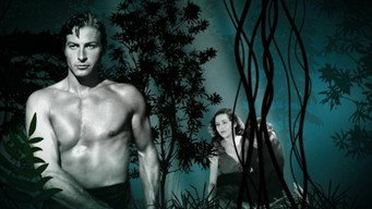 Tarzan Revisited (2017)