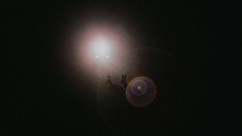 #34 Wake in Fright