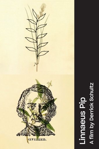 Linnaeus Pip