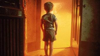 Close Encounters of the Third Kind backdrop 9