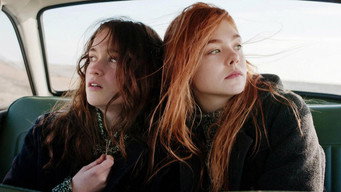 #6 Ginger & Rosa