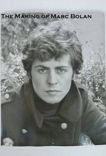 The Making of Marc Bolan (2017)