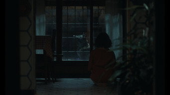 The Days Off (2026)