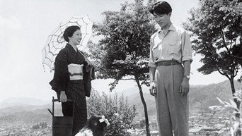 Пошарпані крила (1955)