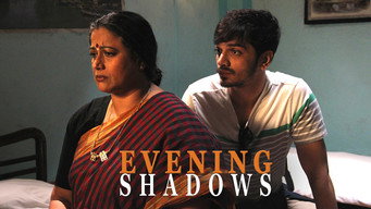 #5 Evening Shadows