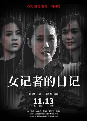 女记者的日记 poster