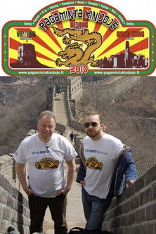 Pagaminta Kinijoje poster