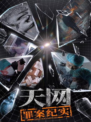 天网：罪案纪实 poster