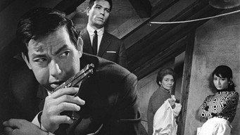 Мій паспорт – кольт (1967)