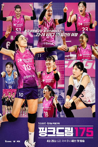 핑크드림175 poster