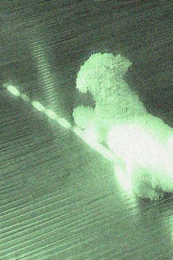 opium_latte raw studio sessions vol. 8 poster