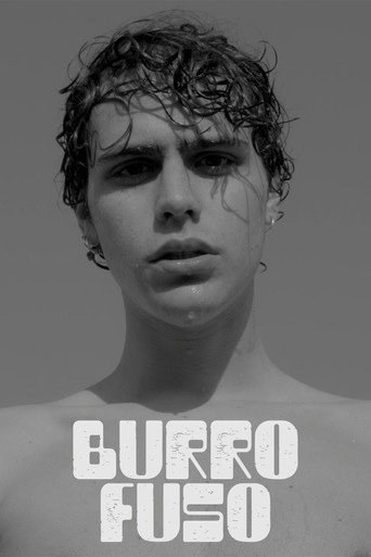 Burro Fuso