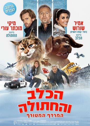 הכלב והחתולה המרדף המטורף