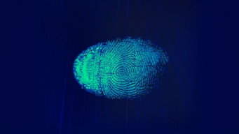 Forensic Factor: A New Era (2023- )