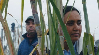 Still 1 from Good Valley Stories