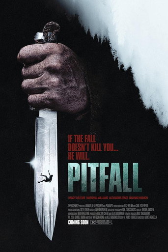 Pitfall (2026)
