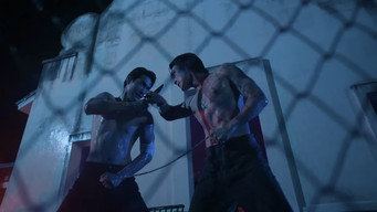#4 Lovers & Gangsters