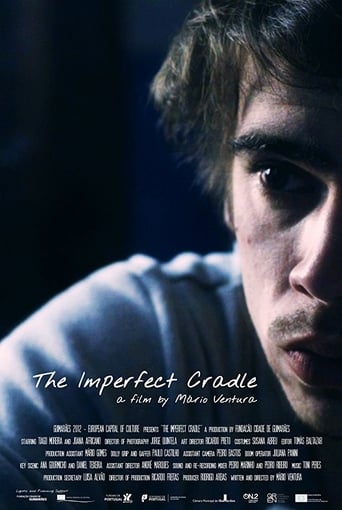 Poster of The Imperfect Cradle