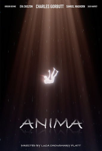 Cartell de ANIMA