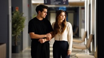 Episódio Episódio 20 da série O Canto do Pássaro