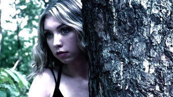 North Woods (2016)