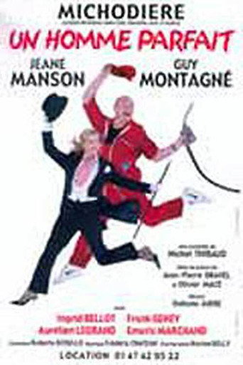 Un homme parfait (2003)