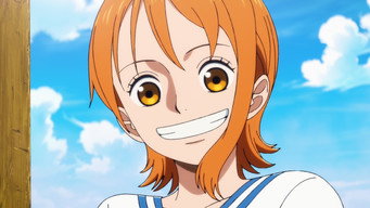 #8 THE ONE PIECE