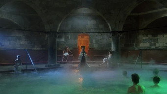 #8 The Spider Labyrinth