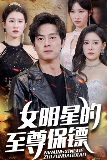 女明星的至尊保镖 poster