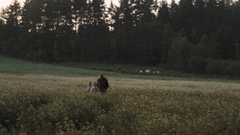 #59 Дзеркало