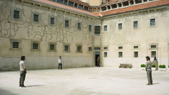 Galeria 5 - La noche de 12 años