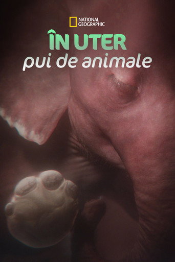 Poster In the Womb: Animal Babies