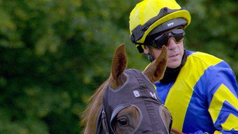 #8 Dettori