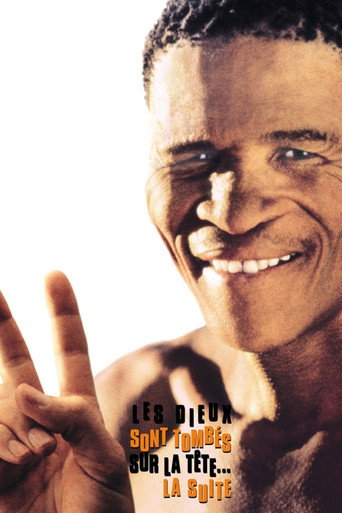 Les Dieux sont tombés sur la tête 2 - affiche officiel