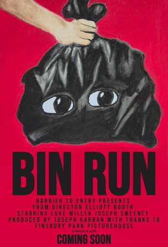 Cartell de Bin Run