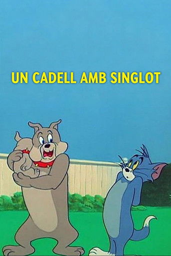 Cartell de Un cadell amb singlot