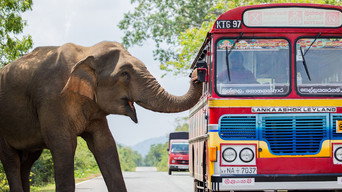 Episode 5 — Crowded Continent