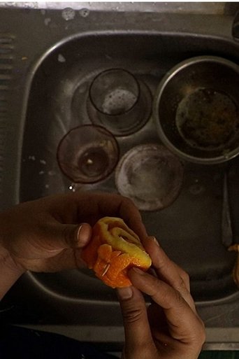 A Butterfly on an Orange Peel