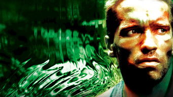 Galeria 2 - Depredador