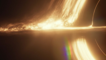 Universe Designed (2025)