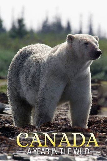Canada: A Year in the Wild