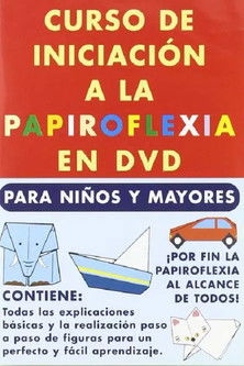 Curso de Iniciación a la Papiroflexia poster