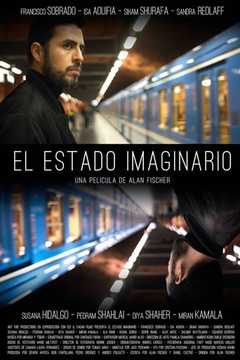 Poster of El estado imaginario