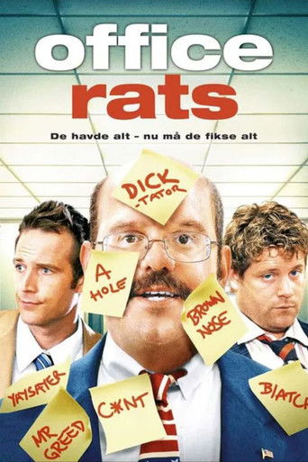 Office Rats