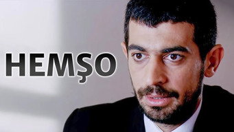 #6 Hemso