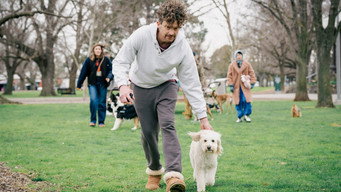 Episode 1 — You and Me and the Dog Makes Three