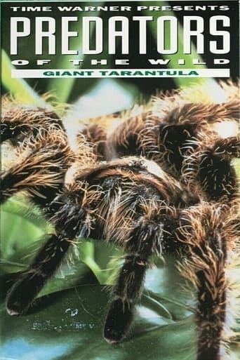 Predators of the Wild: Giant Tarantula en streaming 