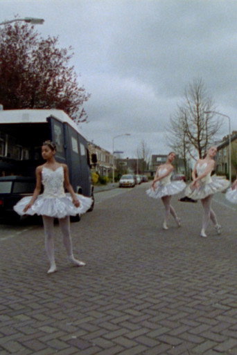 Nummer Twee - Just Because I'm Standing Here, Doesn't Mean I Want To (2003)